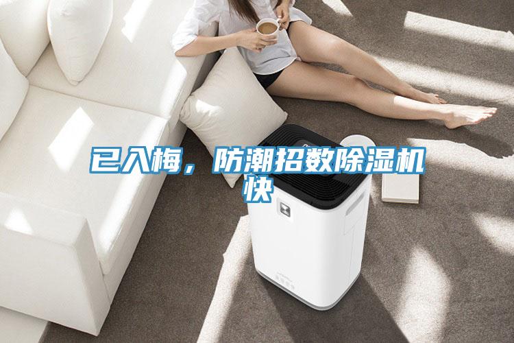 已入梅，防潮招數(shù)除濕機(jī)快