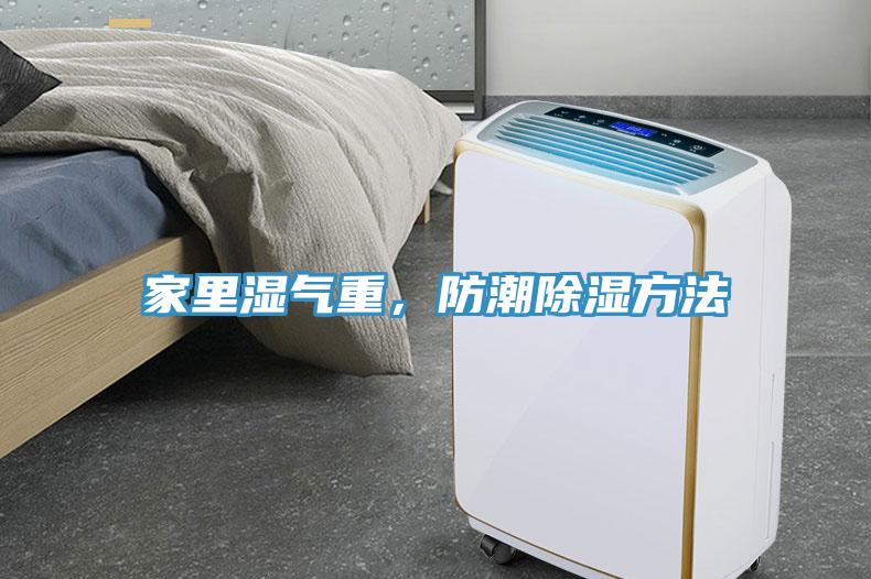 家里濕氣重，防潮除濕方法