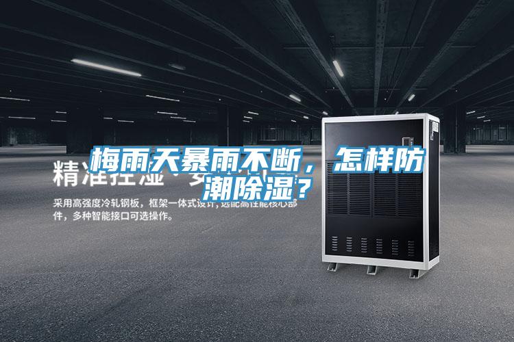 梅雨天暴雨不斷，怎樣防潮除濕？