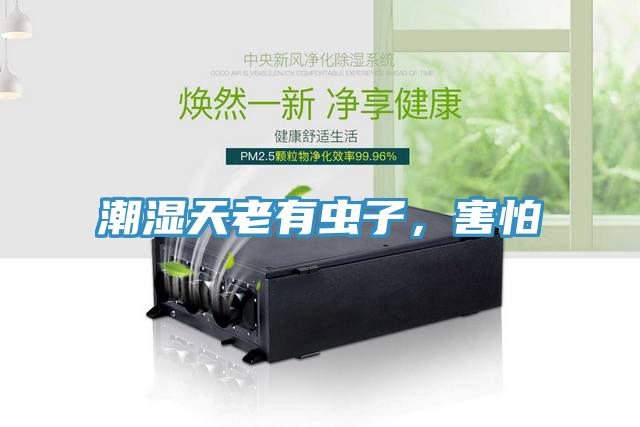 潮濕天老有蟲子，害怕