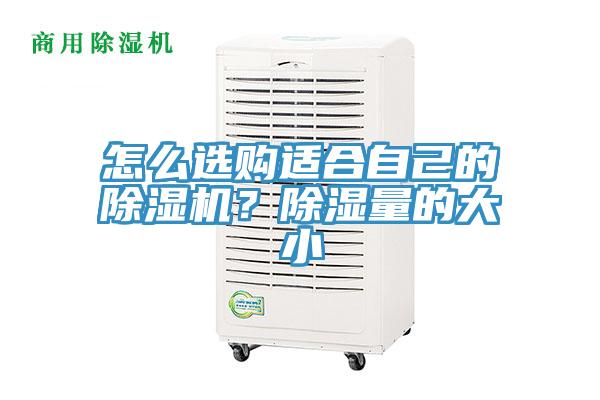怎么選購(gòu)適合自己的除濕機(jī)？除濕量的大小