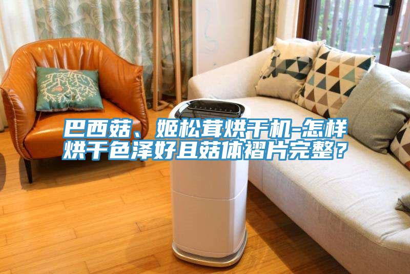 巴西菇、姬松茸烘干機-怎樣烘干色澤好且菇體褶片完整？