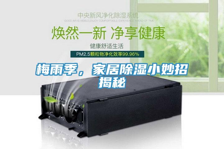 梅雨季，家居除濕小妙招揭秘