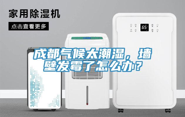 成都?xì)夂蛱睗?，墻壁發(fā)霉了怎么辦？
