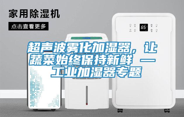 超聲波霧化加濕器，讓蔬菜始終保持新鮮 — 工業(yè)加濕器專題