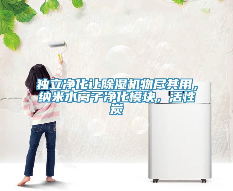獨(dú)立凈化讓除濕機(jī)物盡其用，納米水離子凈化模塊，活性炭