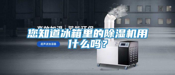 您知道冰箱里的除濕機(jī)用什么嗎？