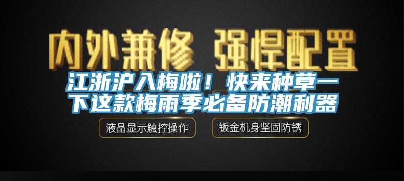 江浙滬入梅啦！快來種草一下這款梅雨季必備防潮利器
