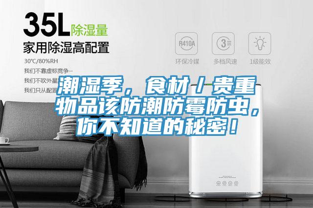 潮濕季，食材／貴重物品該防潮防霉防蟲，你不知道的秘密！