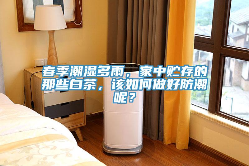 春季潮濕多雨，家中貯存的那些白茶，該如何做好防潮呢？