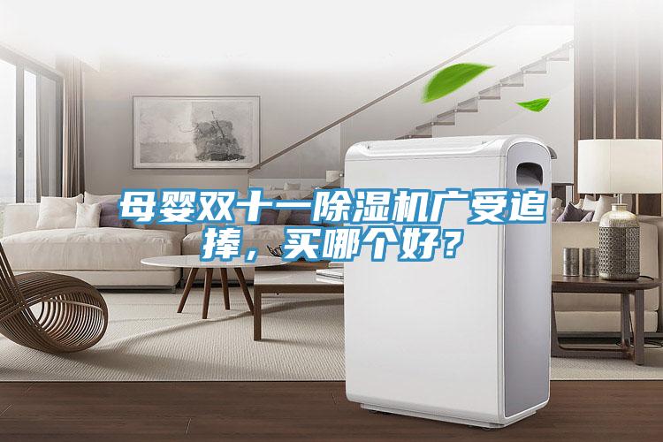 母嬰雙十一除濕機(jī)廣受追捧，買哪個(gè)好？