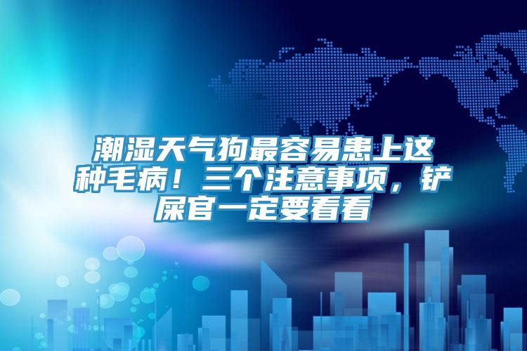 潮濕天氣狗最容易患上這種毛??！三個注意事項，鏟屎官一定要看看