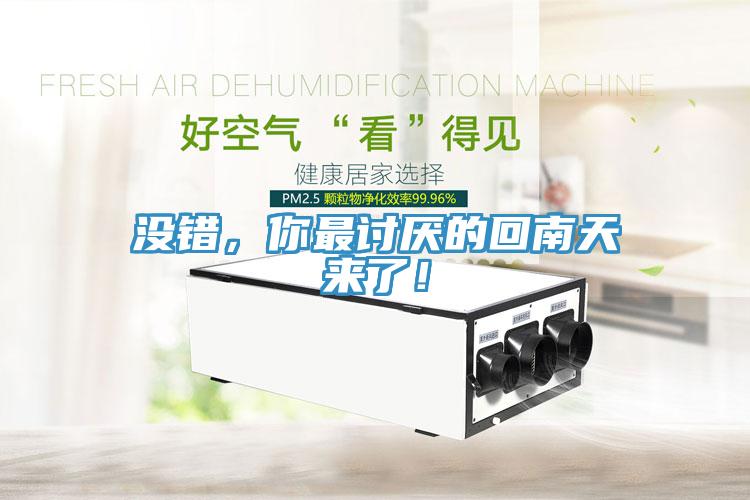 沒(méi)錯(cuò)，你最討厭的回南天來(lái)了！