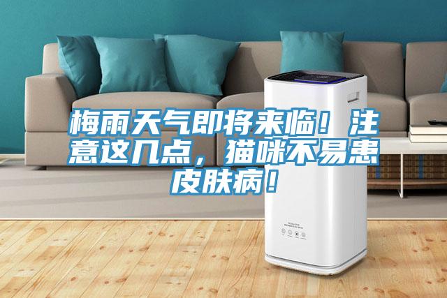 梅雨天氣即將來臨！注意這幾點，貓咪不易患皮膚?。?/></p>
                            <p style=