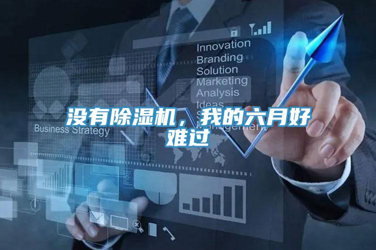 沒(méi)有除濕機(jī)，我的六月好難過(guò)