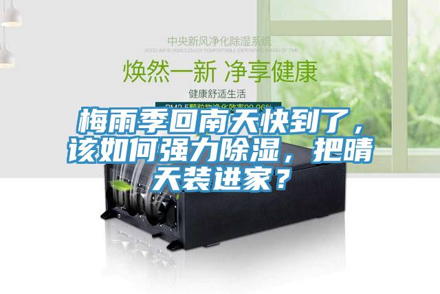梅雨季回南天快到了，該如何強(qiáng)力除濕，把晴天裝進(jìn)家？