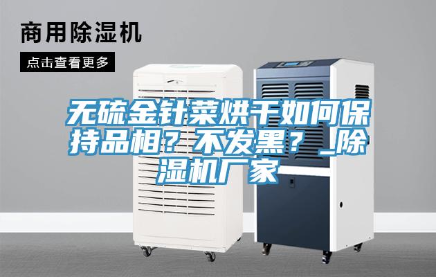 無硫金針菜烘干如何保持品相？不發(fā)黑？_除濕機廠家