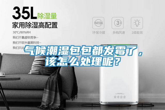 氣候潮濕包包都發(fā)霉了，該怎么處理呢？