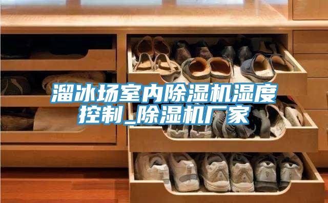 溜冰場(chǎng)室內(nèi)除濕機(jī)濕度控制_除濕機(jī)廠(chǎng)家