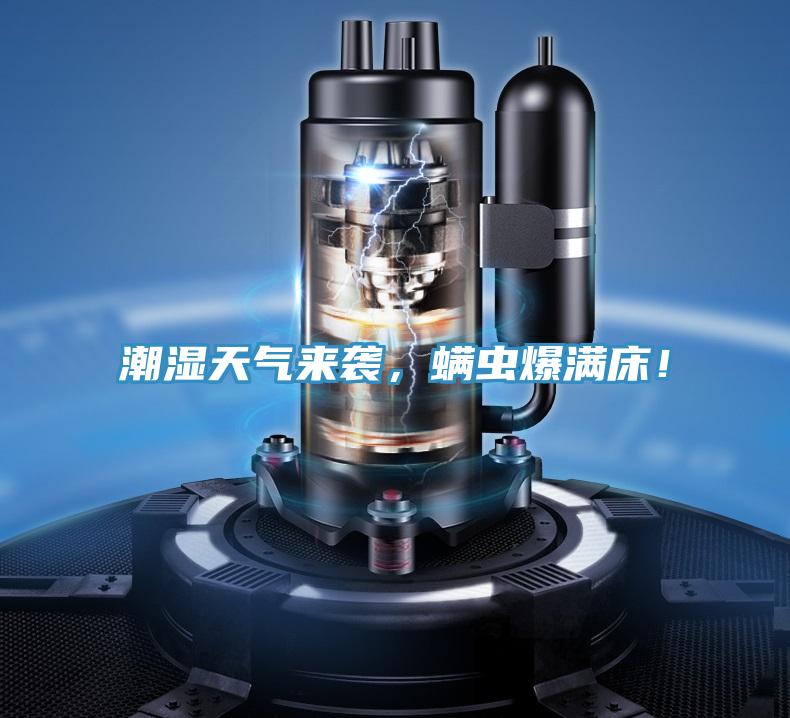 潮濕天氣來襲，螨蟲爆滿床！