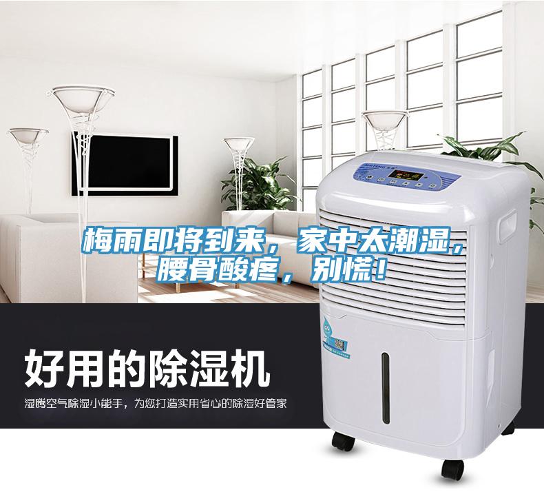 梅雨即將到來，家中太潮濕，腰骨酸疼，別慌！
