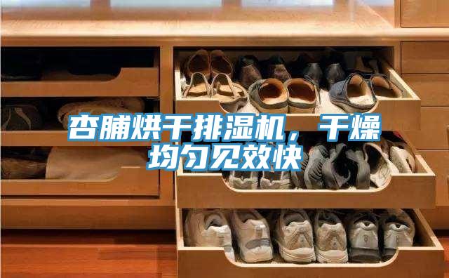 杏脯烘干排濕機(jī)，干燥均勻見效快