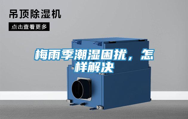 梅雨季潮濕困擾，怎樣解決