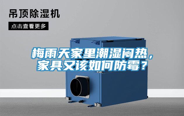 梅雨天家里潮濕悶熱，家具又該如何防霉？