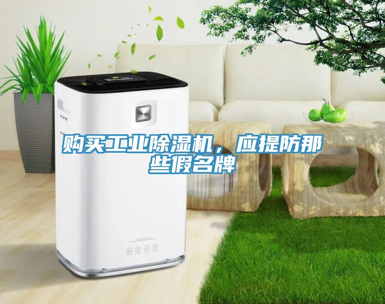 購(gòu)買工業(yè)除濕機(jī)，應(yīng)提防那些假名牌