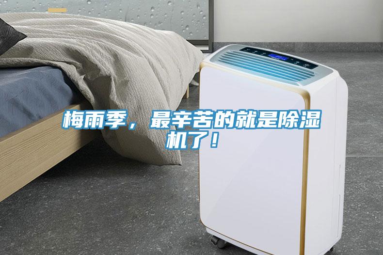 梅雨季，最辛苦的就是除濕機(jī)了！