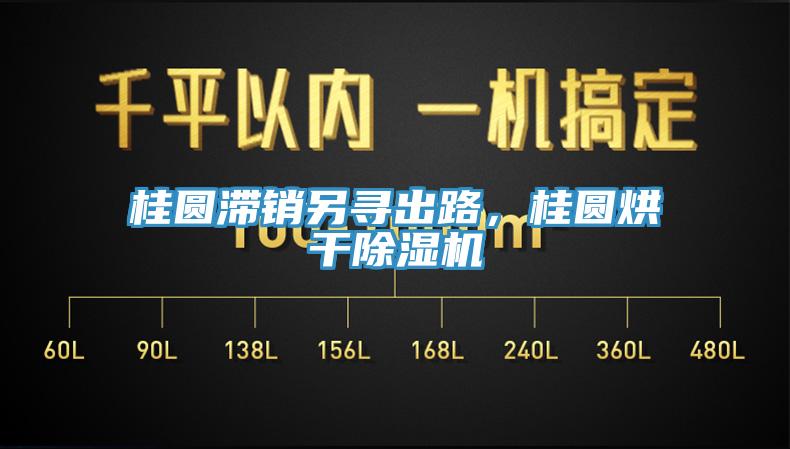 桂圓滯銷另尋出路，桂圓烘干除濕機(jī)