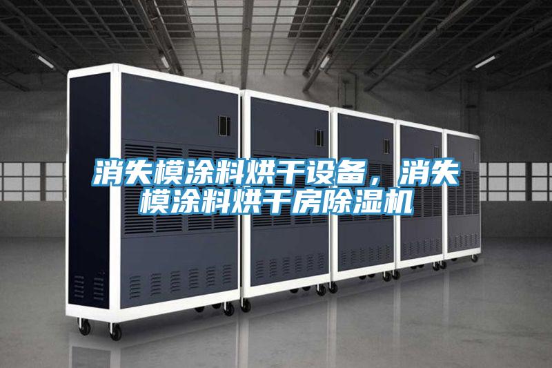 消失模涂料烘干設(shè)備，消失模涂料烘干房除濕機(jī)