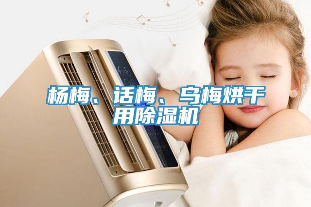 楊梅、話梅、烏梅烘干用除濕機(jī)