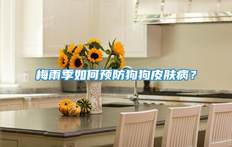 梅雨季如何預(yù)防狗狗皮膚?。?></div>
								<div   id=