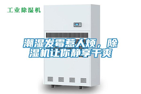 潮濕發(fā)霉惹人煩，除濕機讓你靜享干爽
