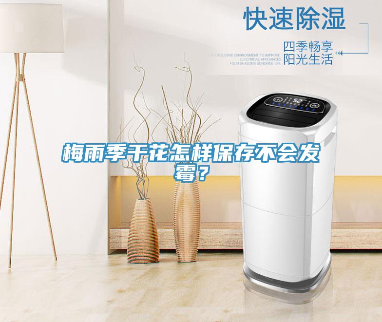 梅雨季干花怎樣保存不會(huì)發(fā)霉？