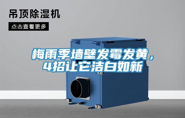梅雨季墻壁發(fā)霉發(fā)黃，4招讓它潔白如新