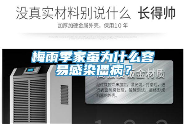 梅雨季家蠶為什么容易感染僵?。?></div>
								<div   id=