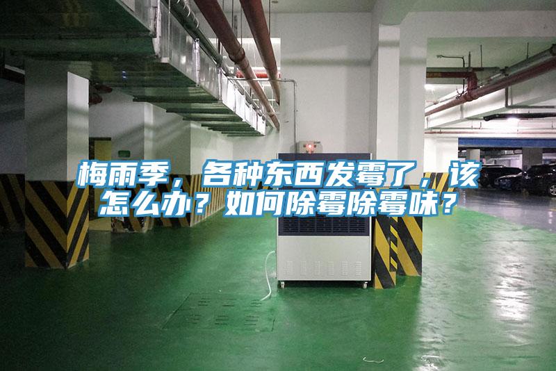 梅雨季，各種東西發(fā)霉了，該怎么辦？如何除霉除霉味？