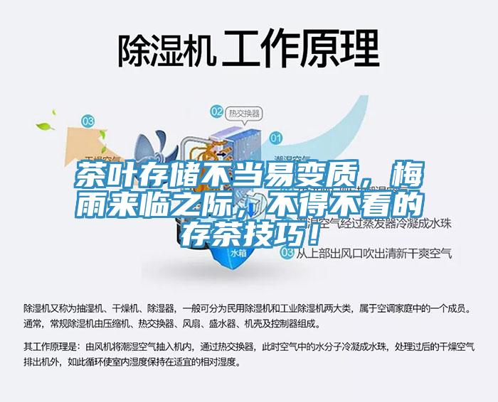 茶葉存儲不當(dāng)易變質(zhì)，梅雨來臨之際，不得不看的存茶技巧！