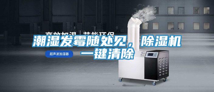 潮濕發(fā)霉隨處見，除濕機一鍵清除