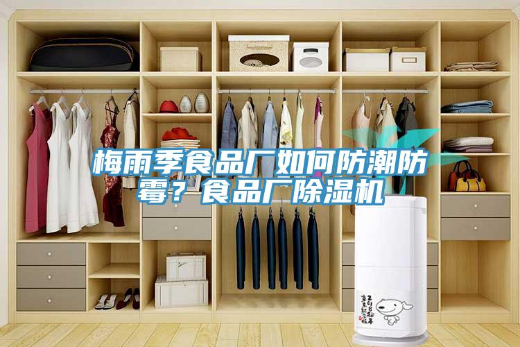 梅雨季食品廠如何防潮防霉？食品廠除濕機