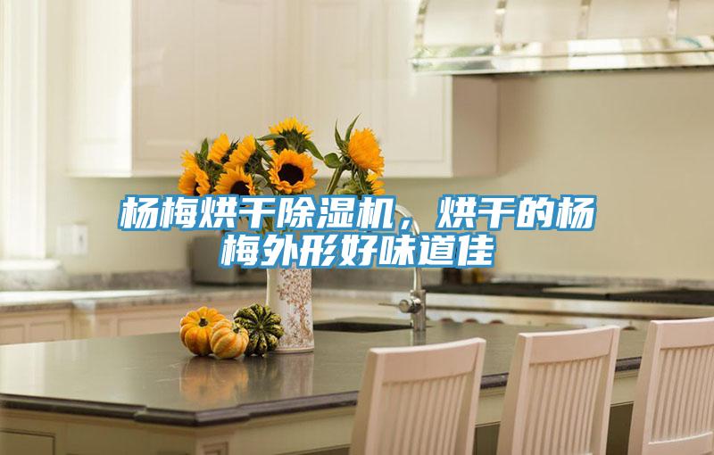 楊梅烘干除濕機(jī)，烘干的楊梅外形好味道佳
