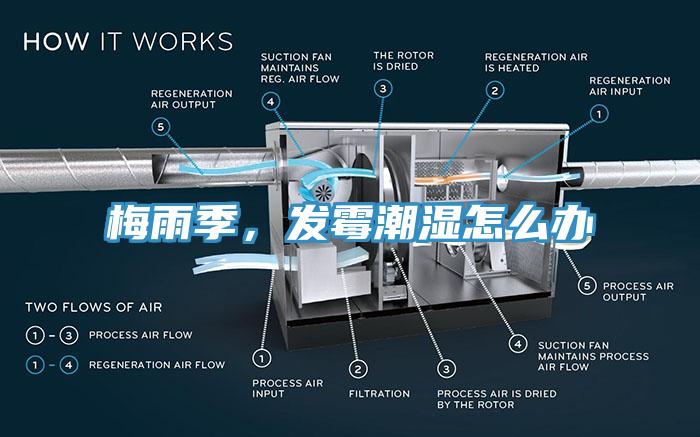 梅雨季，發(fā)霉潮濕怎么辦