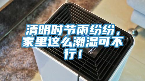 清明時(shí)節(jié)雨紛紛，家里這么潮濕可不行！