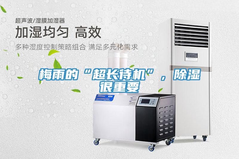 梅雨的“超長待機”，除濕很重要