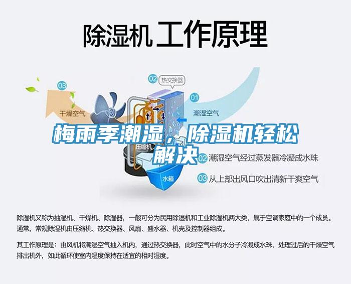 梅雨季潮濕，除濕機(jī)輕松解決