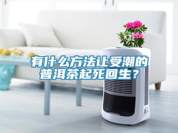 有什么方法讓受潮的普洱茶起死回生？