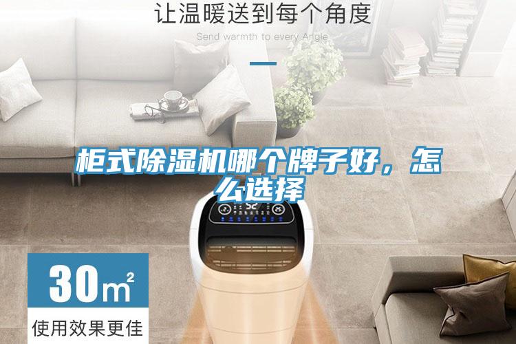 柜式除濕機哪個牌子好，怎么選擇