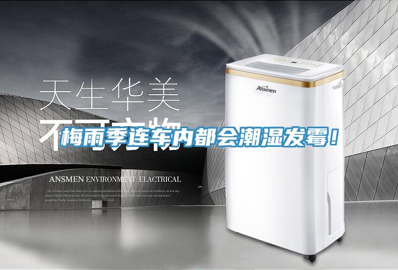 梅雨季連車內(nèi)都會潮濕發(fā)霉！